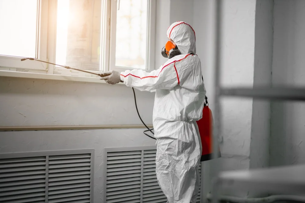 Professional mold remediation services in Allenhurst, GA